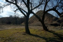 Ранняя весна на берегу Таганрогского залива