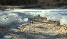 Ранняя весна на берегу Таганрогского залива