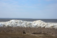 Ранняя весна на берегу Таганрогского залива