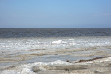 Ранняя весна на берегу Таганрогского залива