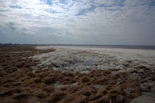 Ранняя весна на берегу Таганрогского залива