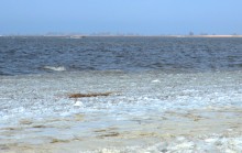 Ранняя весна на берегу Таганрогского залива