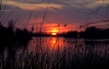 Закат на Дону в марте у Старочеркасской
