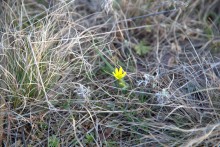 Путешествие по Качеровым горам на Северском Донце