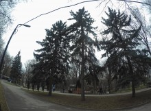 Ранняя весна в парке Островского