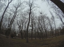 Ранняя весна в парке Островского