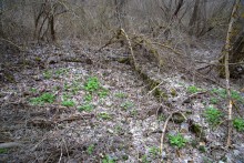 Скалы у посёлка Синегорского