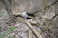 Скалы у посёлка Синегорского