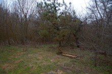 Скалы у посёлка Синегорского