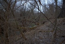 Скалы у посёлка Синегорского