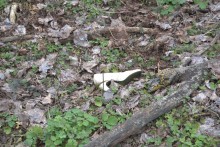 Скалы у посёлка Синегорского