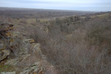 Скалы и саванны Северского Донца