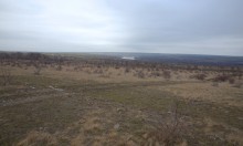 Скалы и саванны Северского Донца