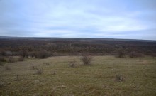 Скалы и саванны Северского Донца