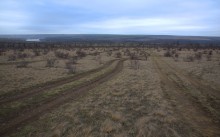 Скалы и саванны Северского Донца