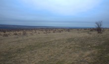 Скалы и саванны Северского Донца