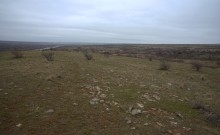 Скалы и саванны Северского Донца