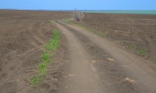 Ранневесенний простор