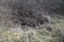 Брошенные хутора Петровский и Дедов