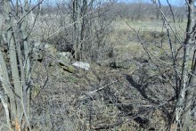 Брошенные хутора Петровский и Дедов