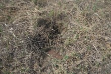 Брошенные хутора Петровский и Дедов