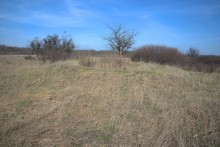 Брошенные хутора Петровский и Дедов