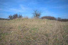 Брошенные хутора Петровский и Дедов