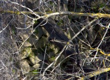 Брошенные хутора Петровский и Дедов