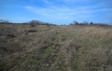 Брошенные хутора Петровский и Дедов