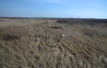 Брошенные хутора Петровский и Дедов