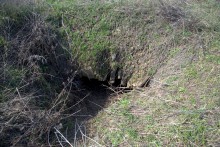 Брошенные хутора Петровский и Дедов