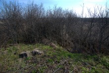 Брошенные хутора Петровский и Дедов