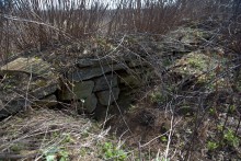 Брошенные хутора Петровский и Дедов