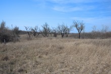 Брошенные хутора Петровский и Дедов