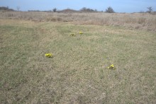 Брошенные хутора Петровский и Дедов