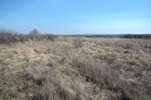 Брошенные хутора Петровский и Дедов