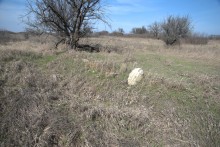 Брошенные хутора Петровский и Дедов