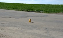 На реке Кундрючьей, Северском Донце и Быстрой, по следам снежной бури случившейся 30-го марта 2023 года.