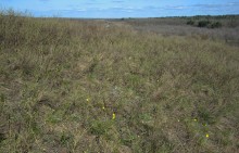 На реке Кундрючьей, Северском Донце и Быстрой, по следам снежной бури случившейся 30-го марта 2023 года.