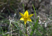 На реке Кундрючьей, Северском Донце и Быстрой, по следам снежной бури случившейся 30-го марта 2023 года.