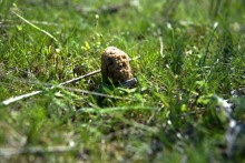 На реке Кундрючьей, Северском Донце и Быстрой, по следам снежной бури случившейся 30-го марта 2023 года.