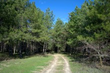На реке Кундрючьей, Северском Донце и Быстрой, по следам снежной бури случившейся 30-го марта 2023 года.