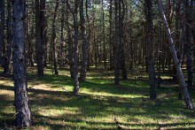 На реке Кундрючьей, Северском Донце и Быстрой, по следам снежной бури случившейся 30-го марта 2023 года.