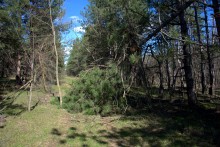 На реке Кундрючьей, Северском Донце и Быстрой, по следам снежной бури случившейся 30-го марта 2023 года.