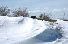 На реке Кундрючьей, Северском Донце и Быстрой, по следам снежной бури случившейся 30-го марта 2023 года.