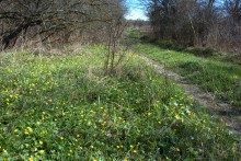 На реке Кундрючьей, Северском Донце и Быстрой, по следам снежной бури случившейся 30-го марта 2023 года.