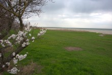 Весёловское водохранилище, борьба воды и суши