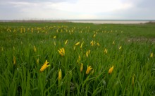 Весёловское водохранилище, борьба воды и суши