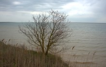 Весёловское водохранилище, борьба воды и суши