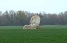 Весенняя прогулка по сальским степям